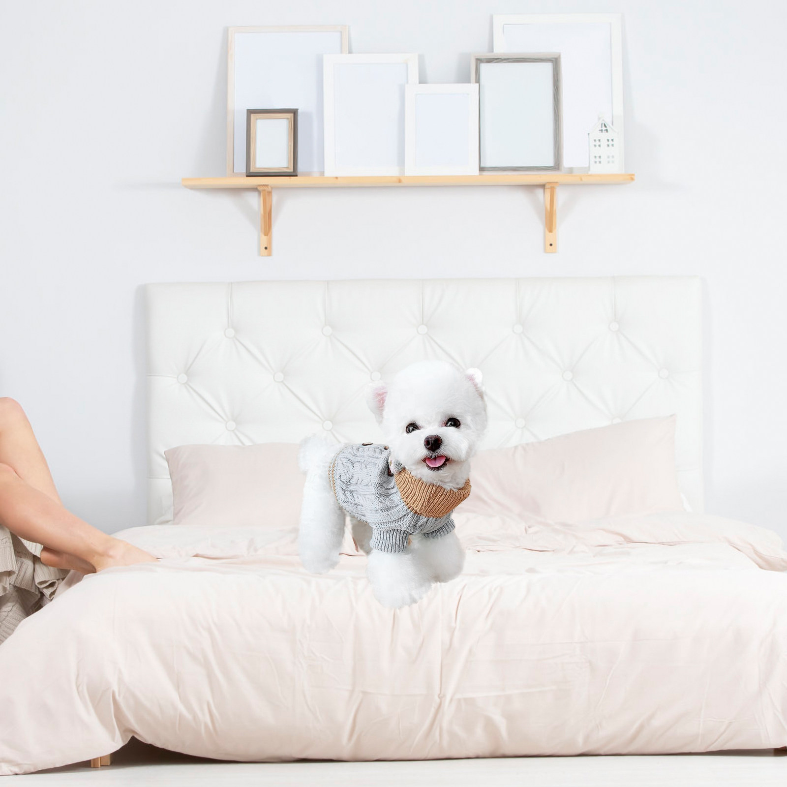1 pièce, pull pour animaux de  - Winter Clothing Gift Ideas avis et prix